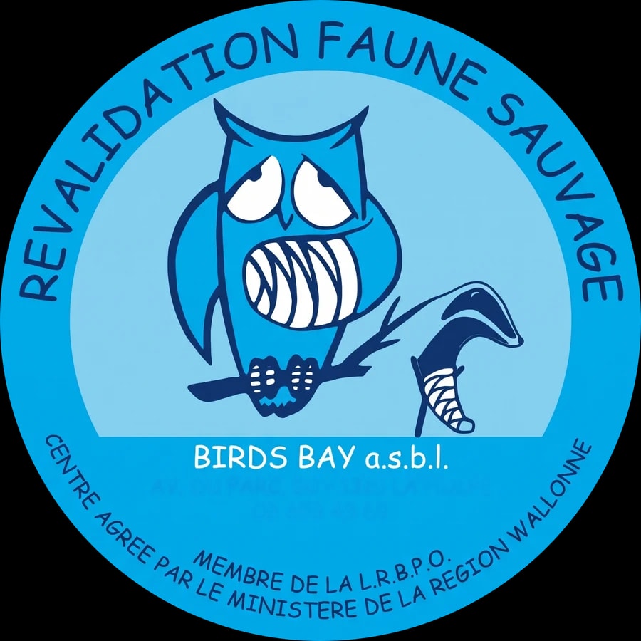 Logo de Revalidation Faune Sauvage, Birds Bay asbl : une chouette à l’aile bandée.